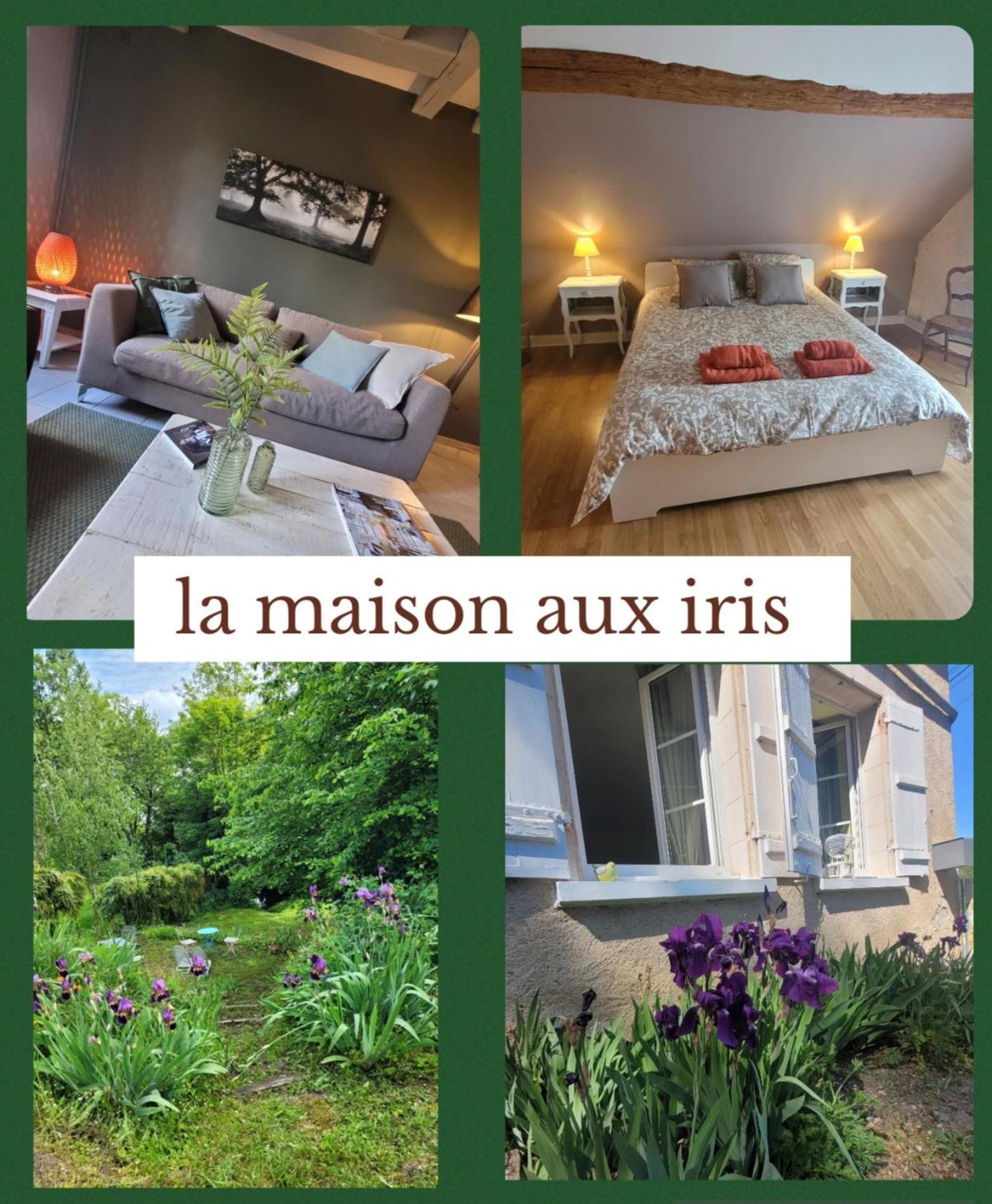 La Maison Aux Iris Poce-sur-Cisse Экстерьер фото