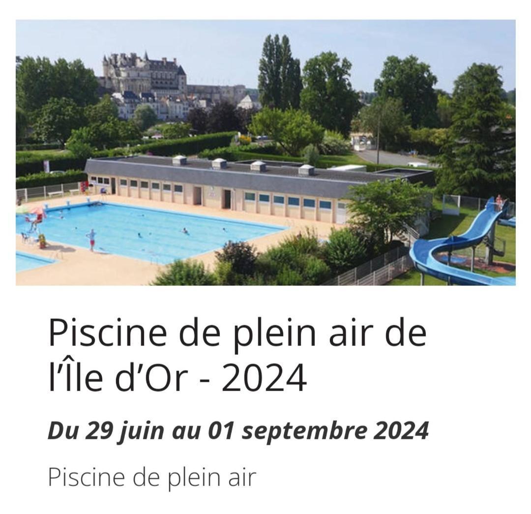 La Maison Aux Iris Poce-sur-Cisse Экстерьер фото