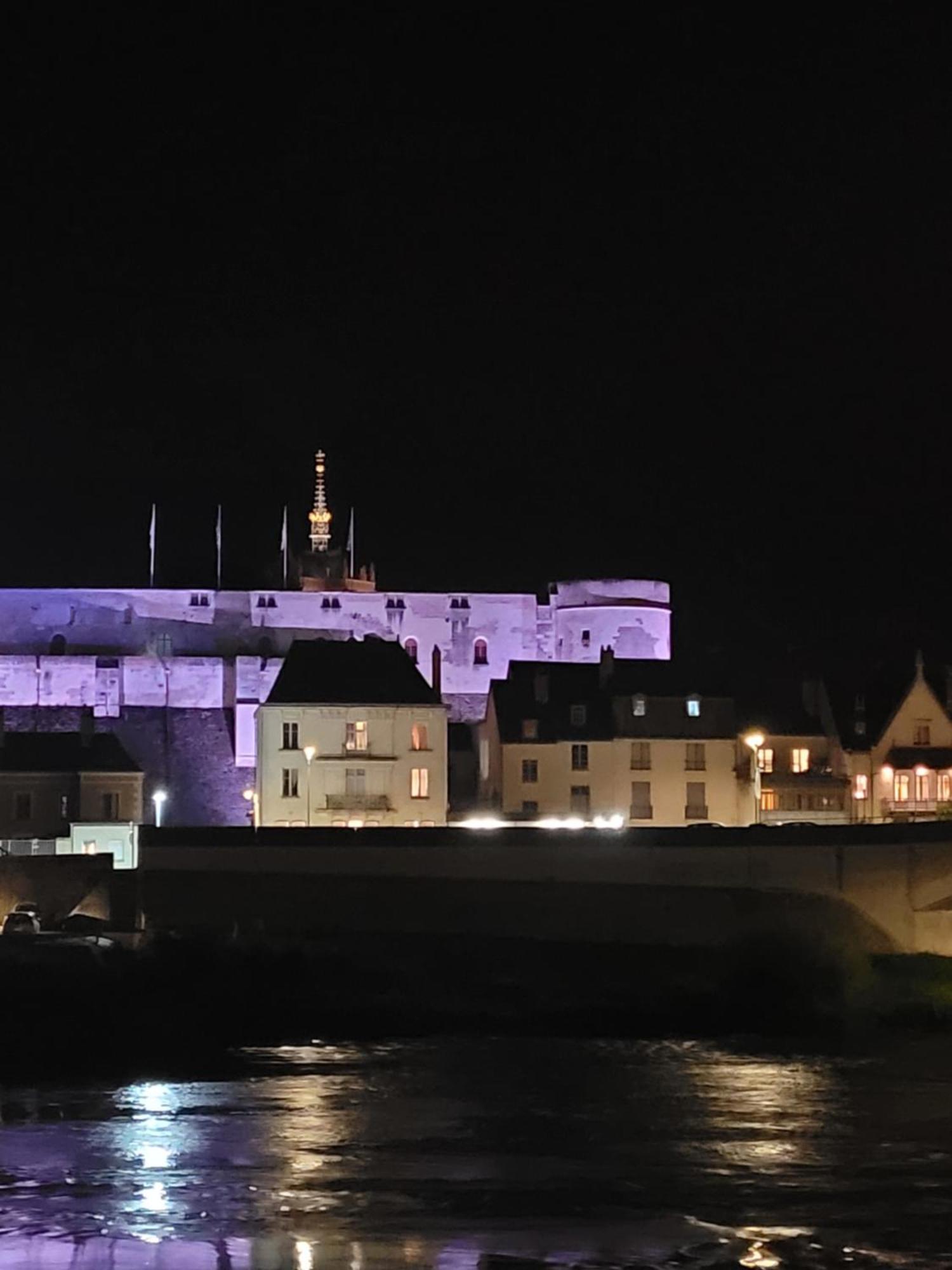 La Maison Aux Iris Poce-sur-Cisse Экстерьер фото