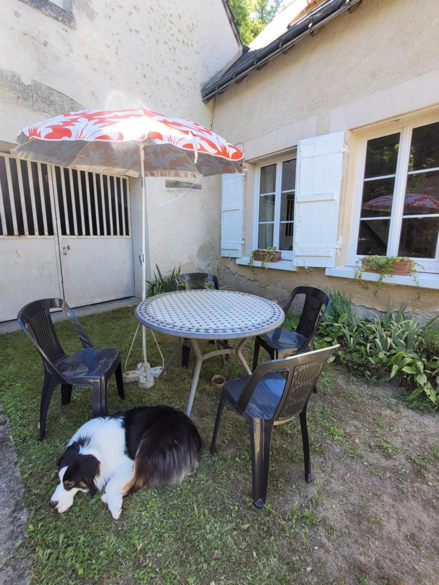 La Maison Aux Iris Poce-sur-Cisse Экстерьер фото